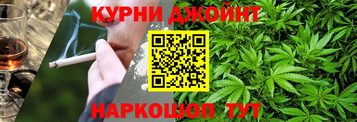 Конопля конопля Кольчугино